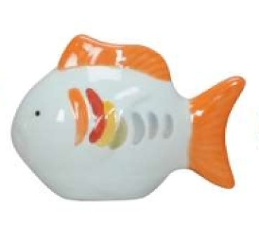 Schwimmfisch Regenbogen